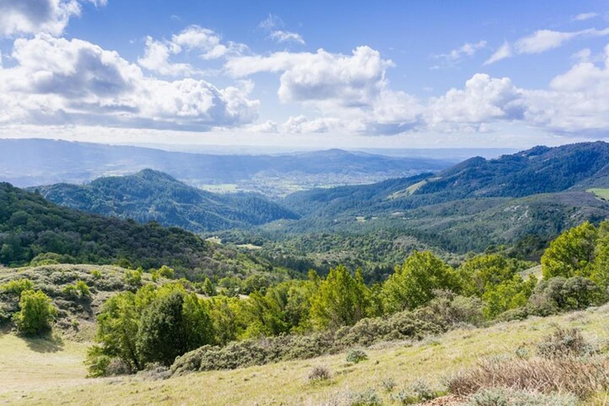 a view of a valley from a hill with trees