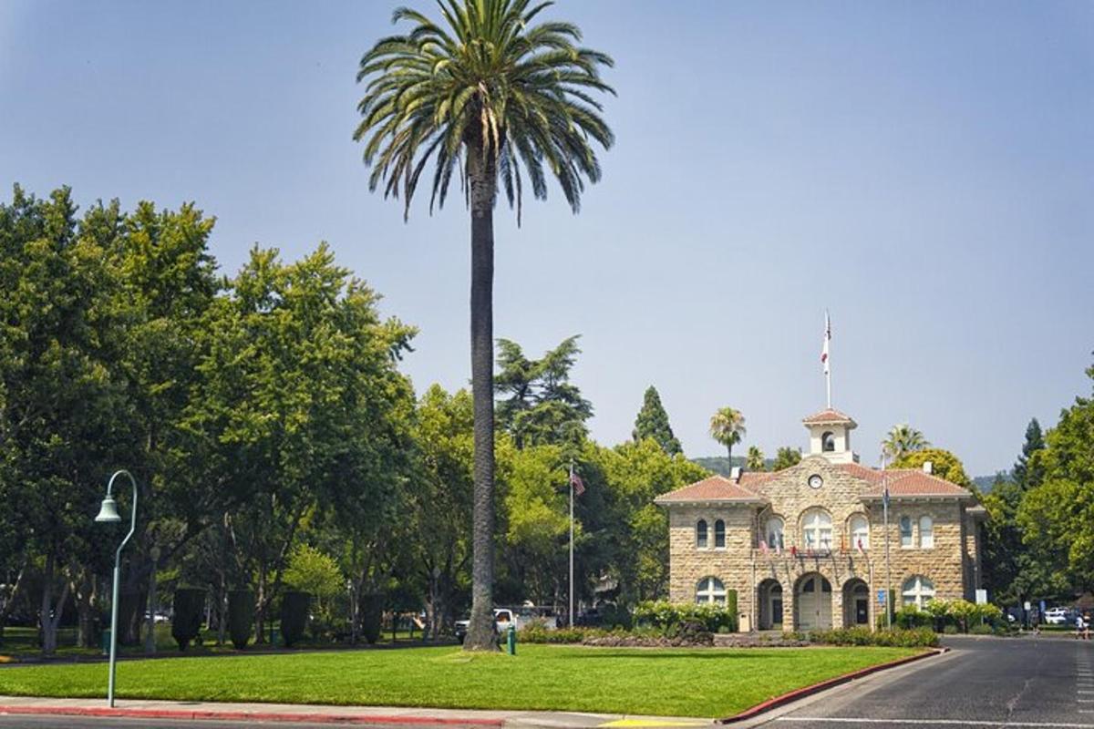 a palm tree in front of a building