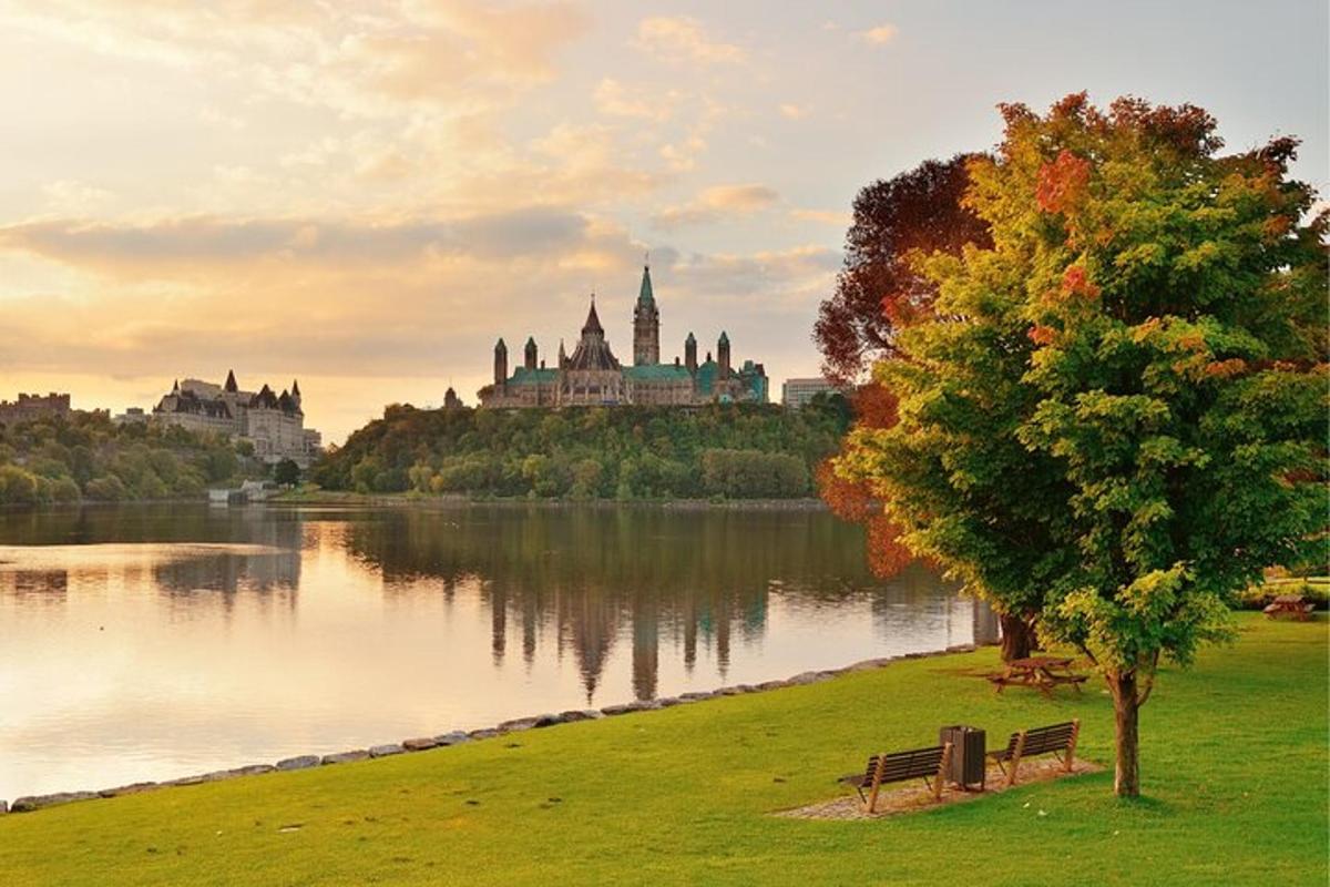 Un parque con un árbol y un lago y un castillo.