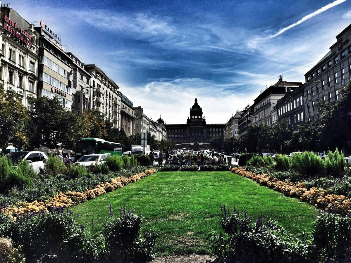 un parco nel mezzo di una città con edifici