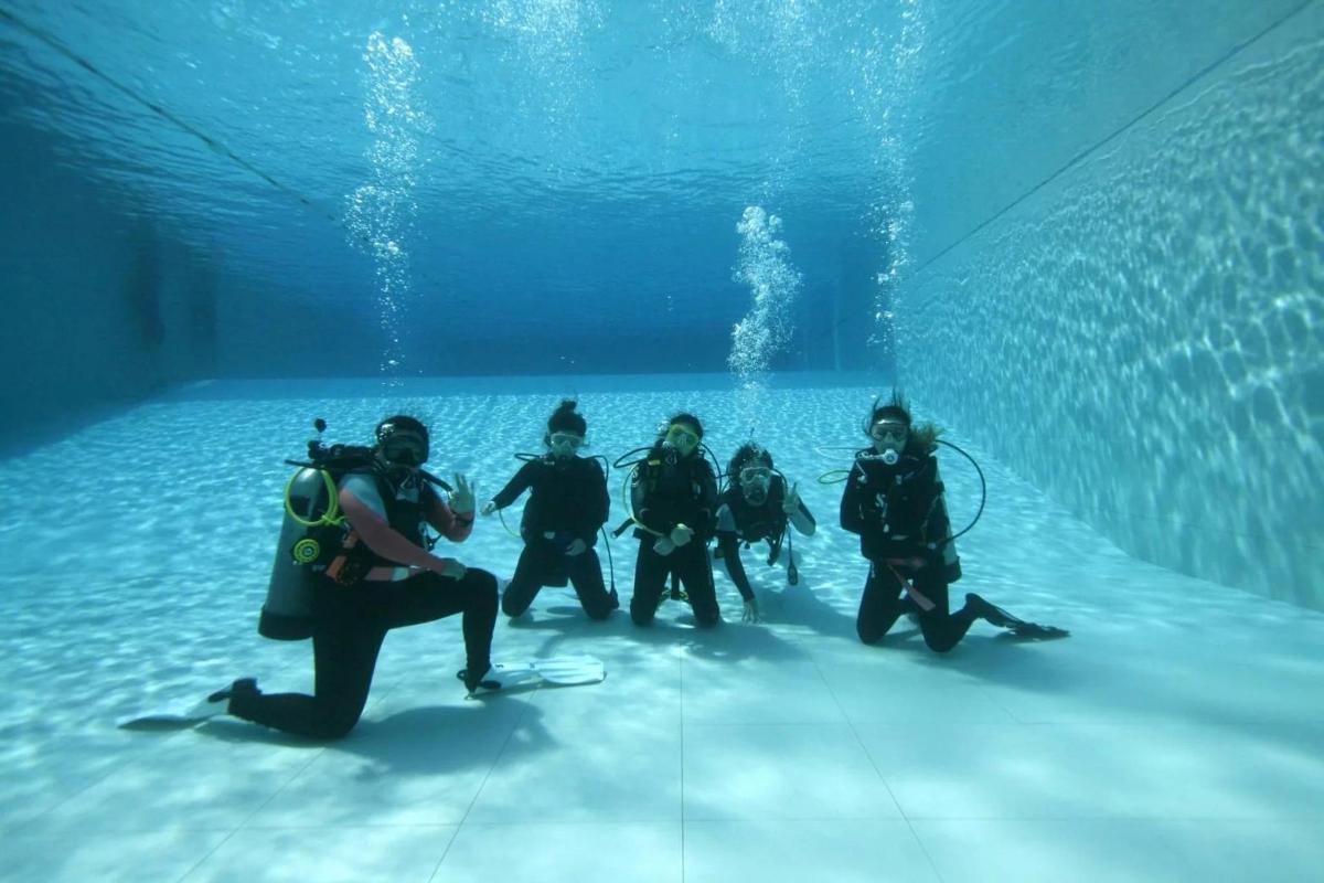 水族館の水の中にいる人々のグループ