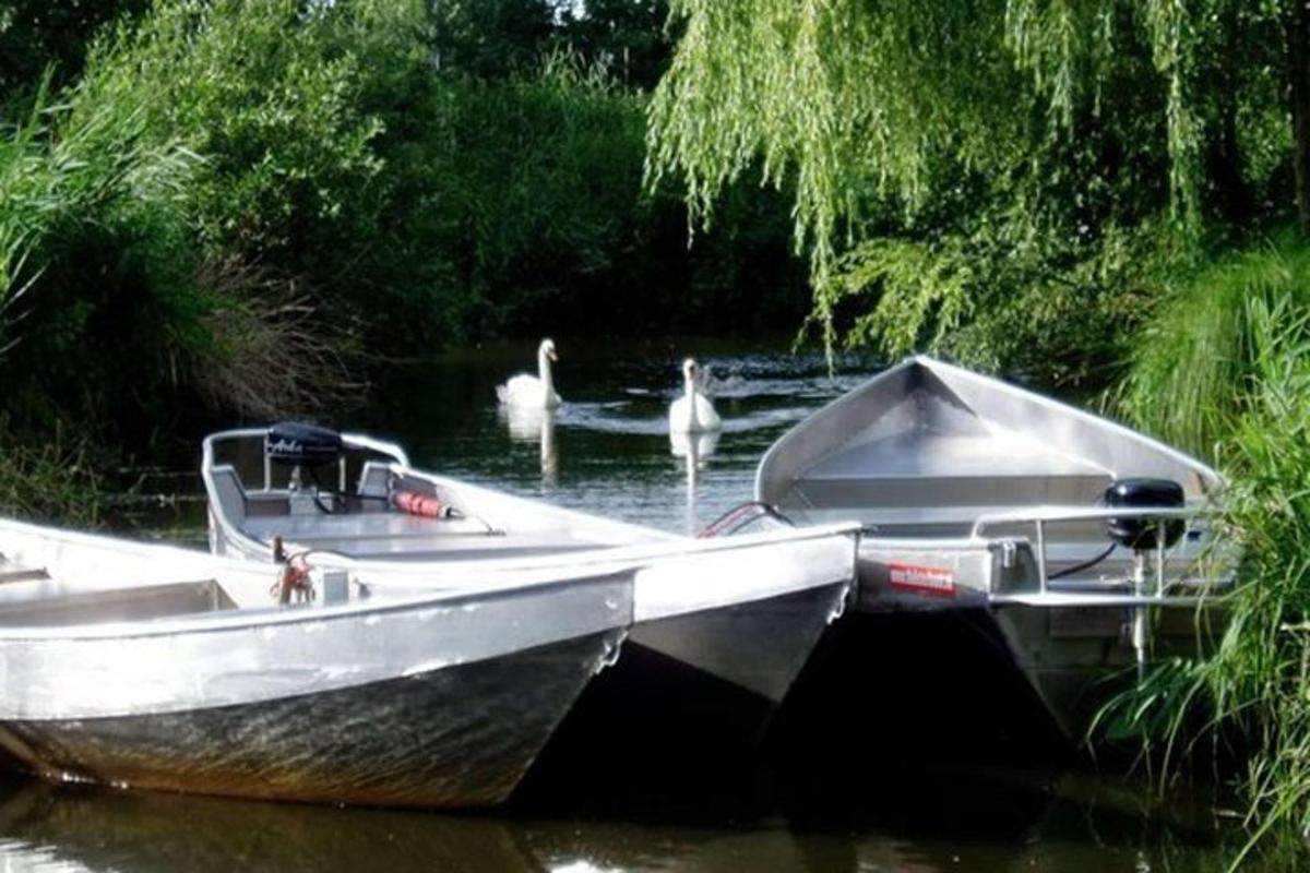 Zwei Boote liegen mit zwei Schwänen an einem Fluss vor Anker