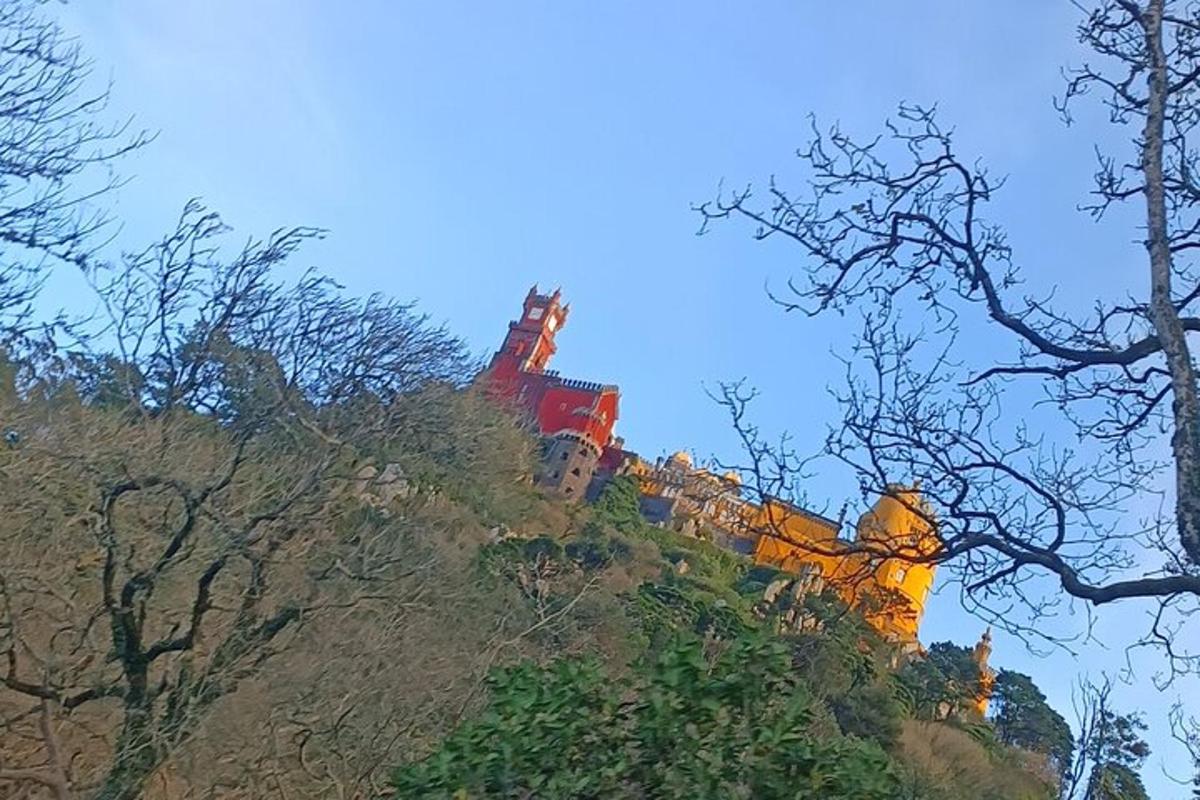 un castillo en la cima de una colina con árboles