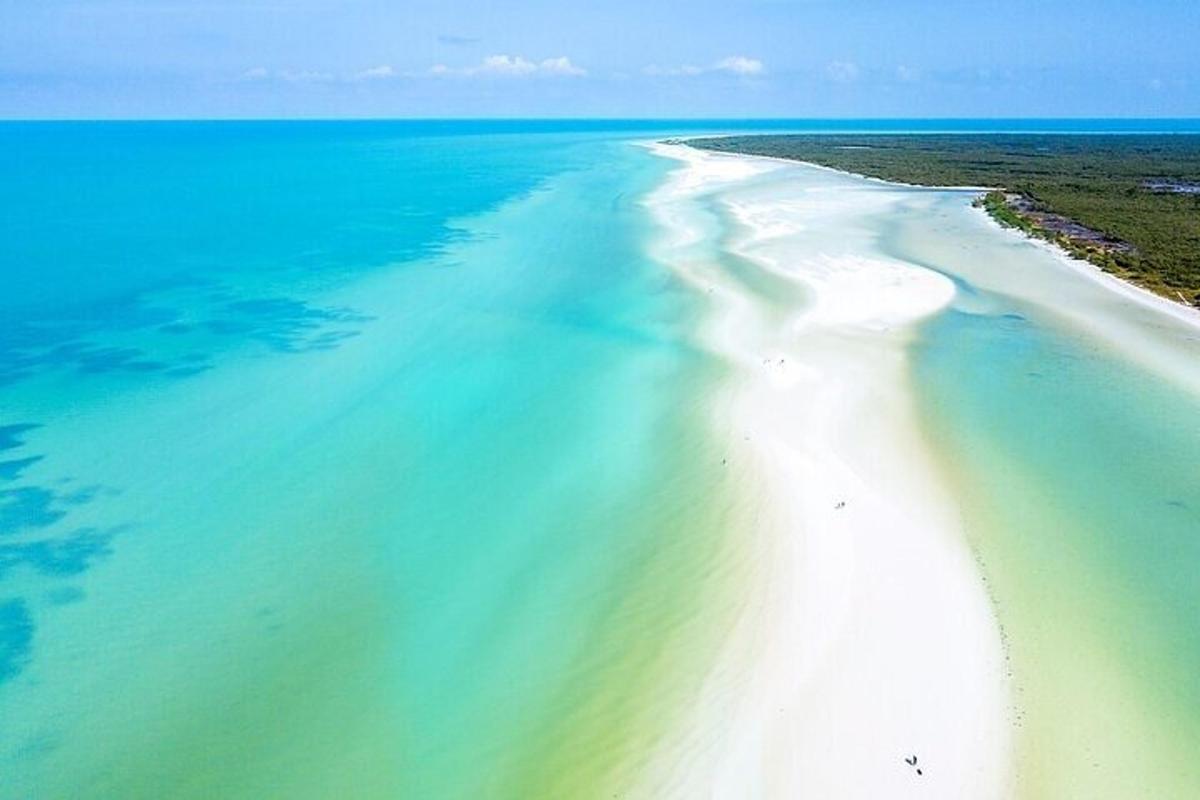 an aerial view of a beach with blue water