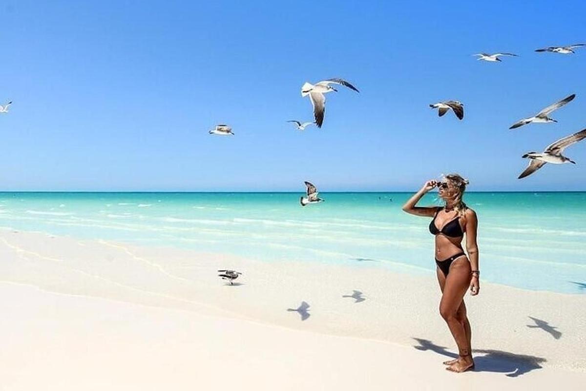 kobieta w bikini stojąca na plaży z ptakami