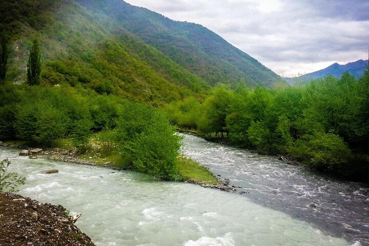 річка в долині з деревами та горами