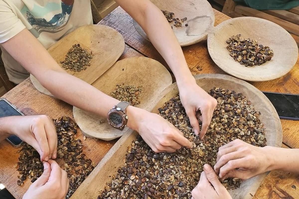 un gruppo di persone che sistema i semi su un tavolo di legno