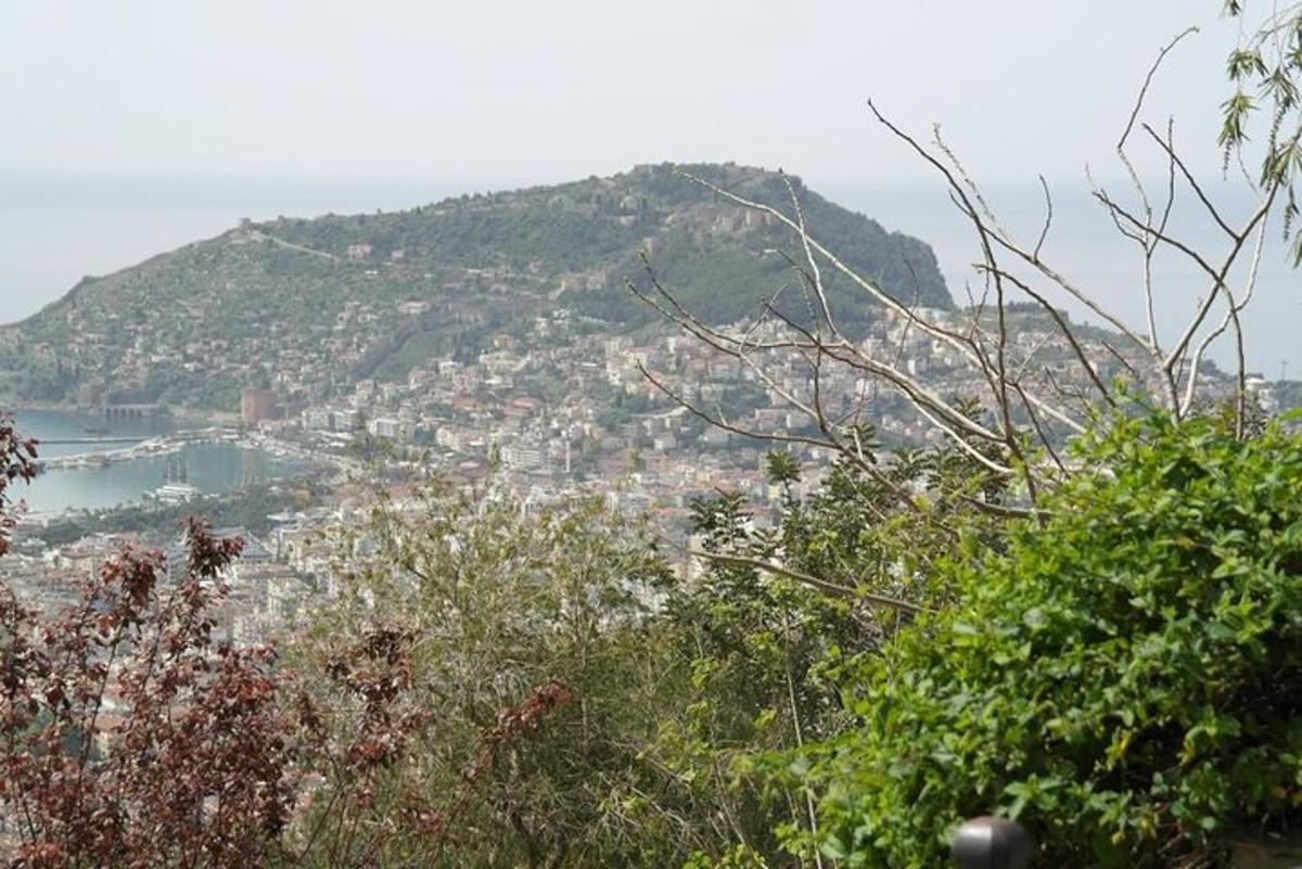 a view of a hill with a city on it