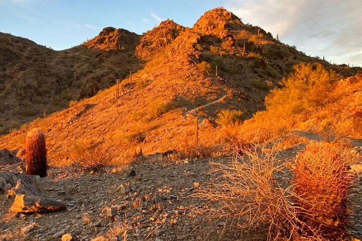 Una vista de una montaña con vegetación naranja.
