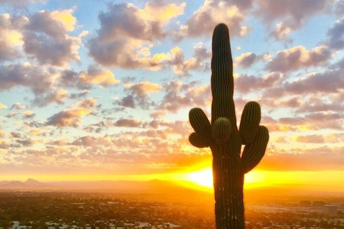 một cây xương rồng saguaro trước cảnh hoàng hôn