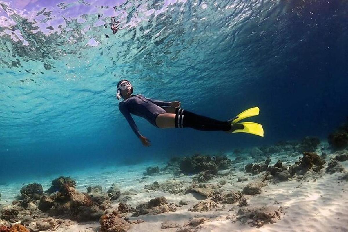 člověk plave v oceánu nad útesem