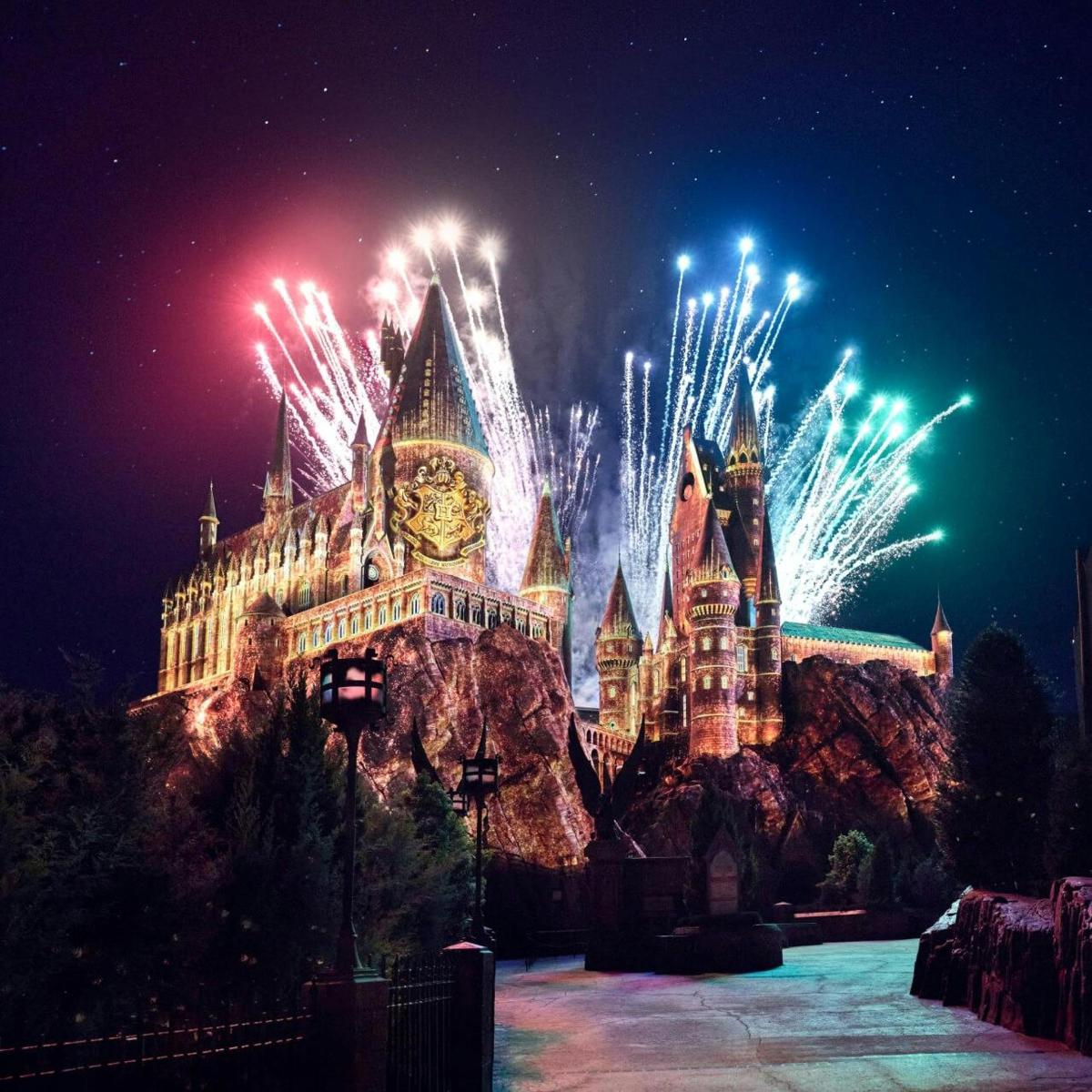 a night view of the disney castle with fireworks