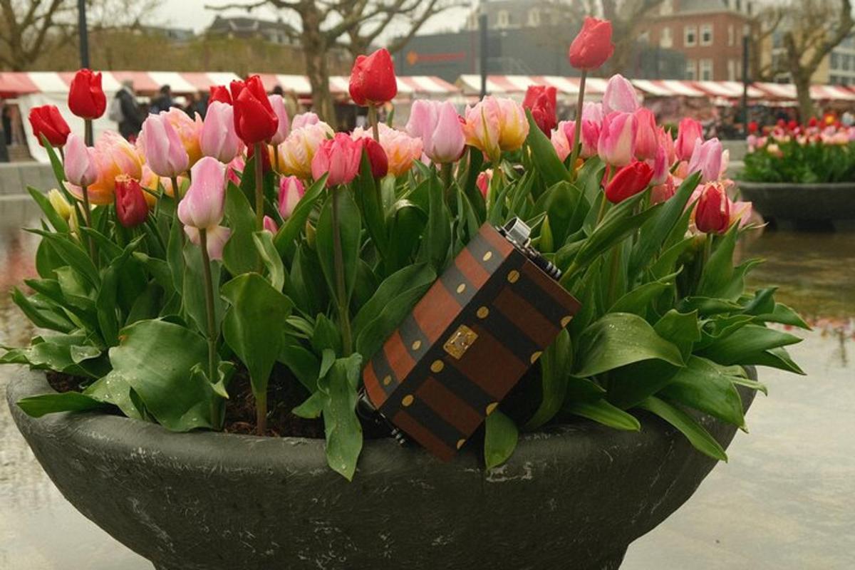 en potte fylt med rosa og røde tulipaner