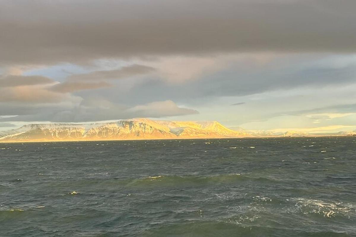 stórt vatn með fjöllum í bakgrunni