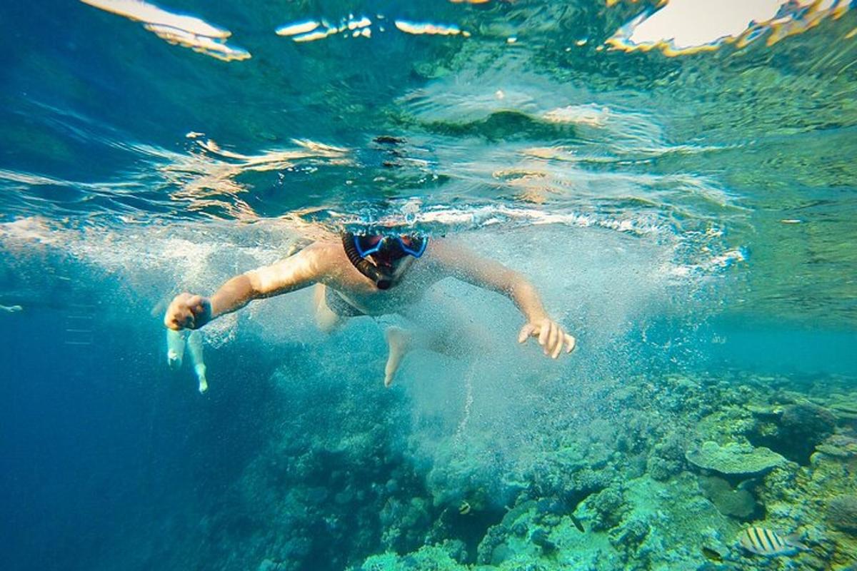Un hombre nadando en el agua del océano.