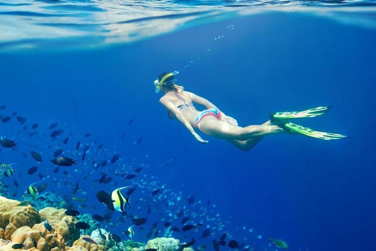 Una mujer nadando en el agua cerca de un arrecife de coral
