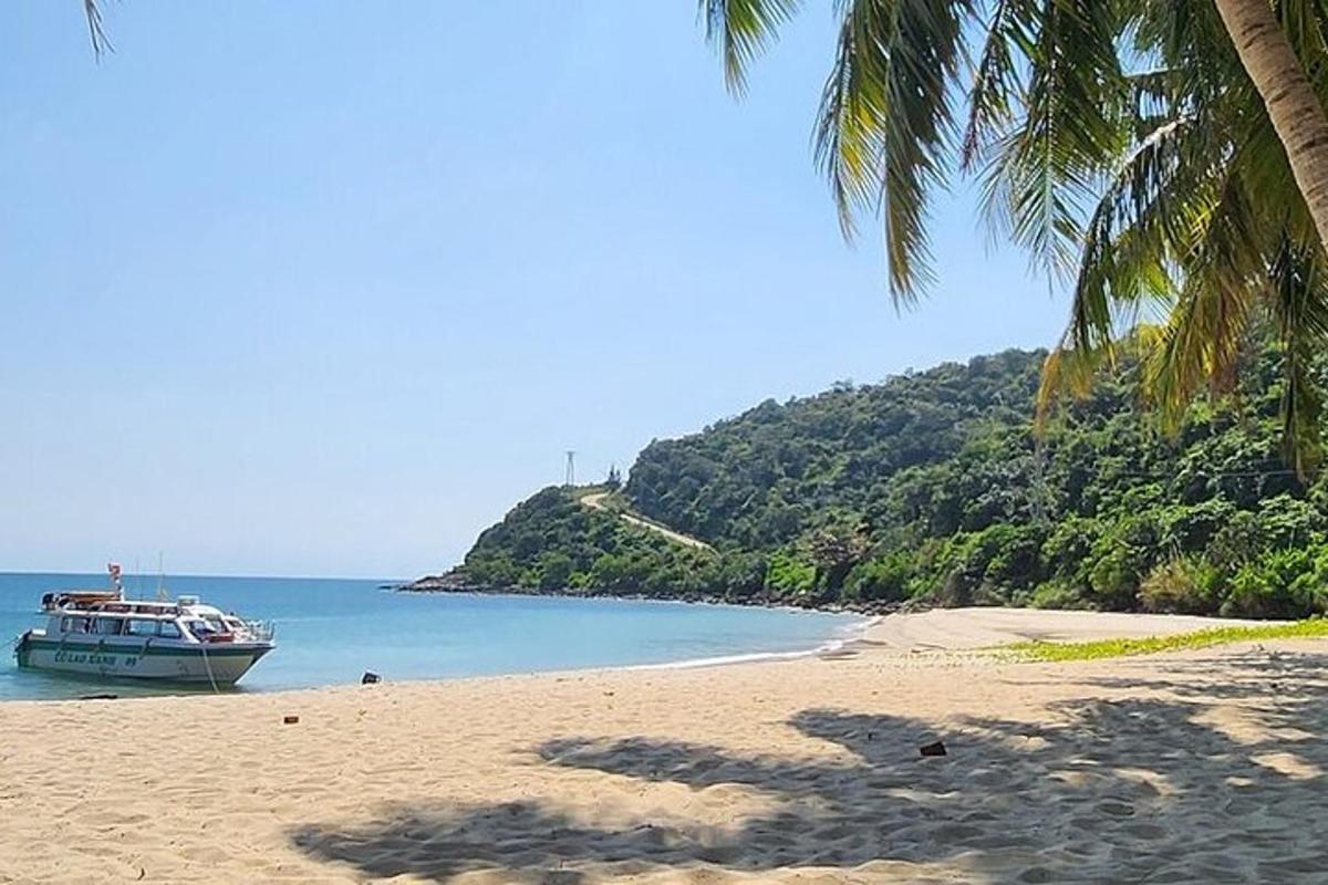 čoln na plaži s palmo