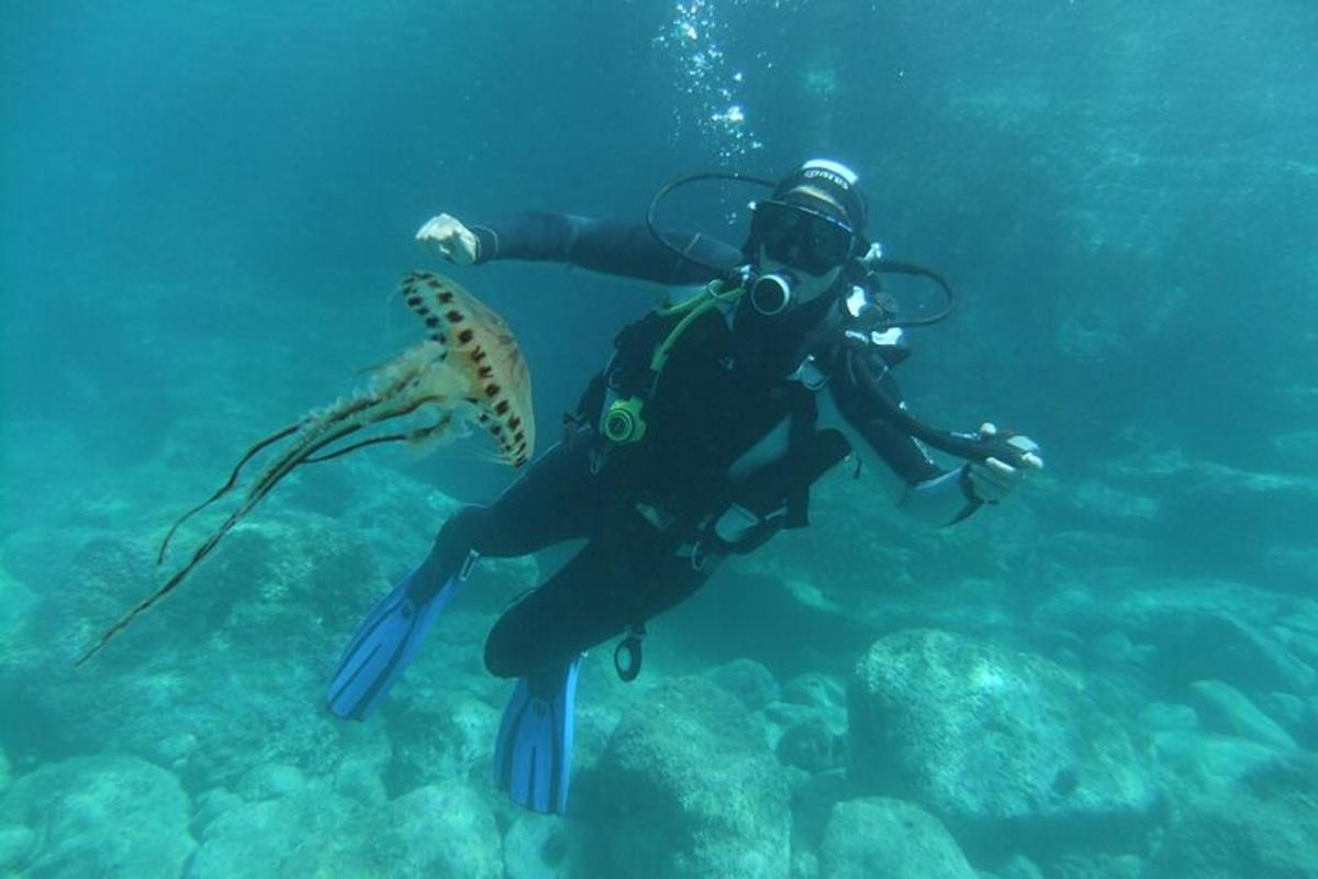 uma pessoa nadando no oceano com um peixe