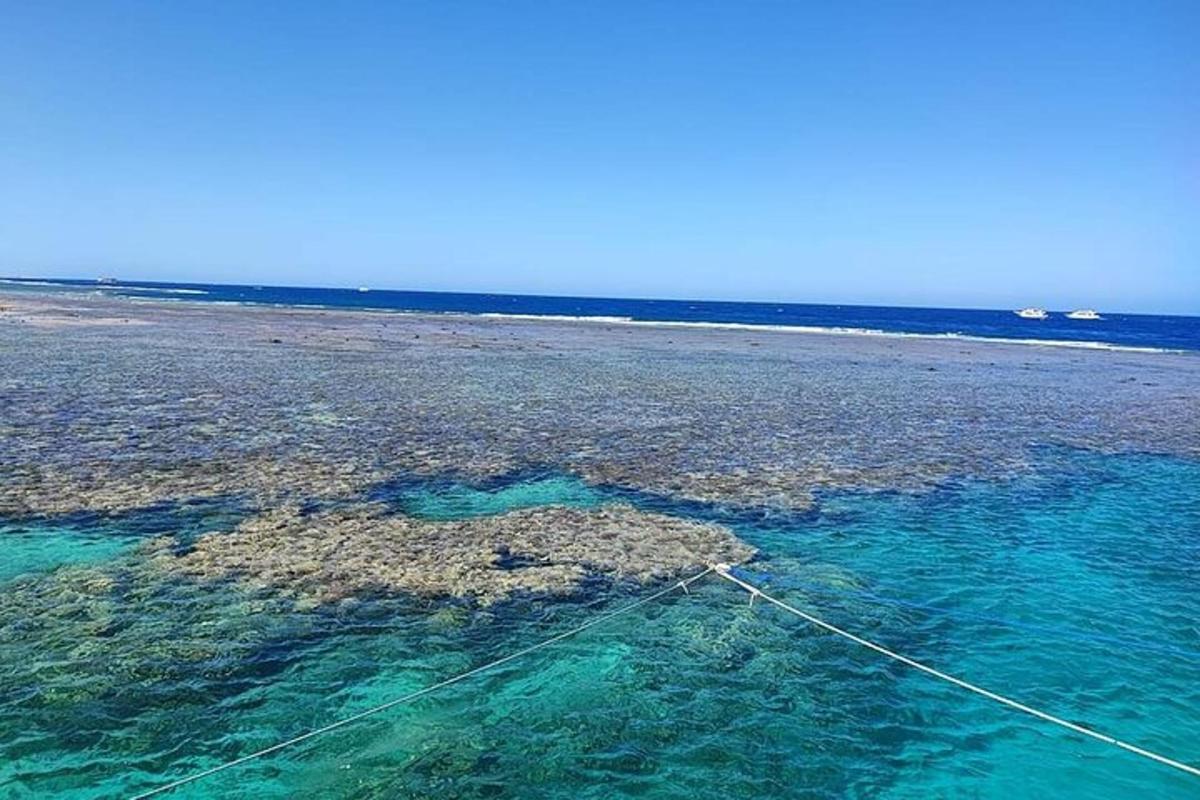 una illa al mig de l'oceà
