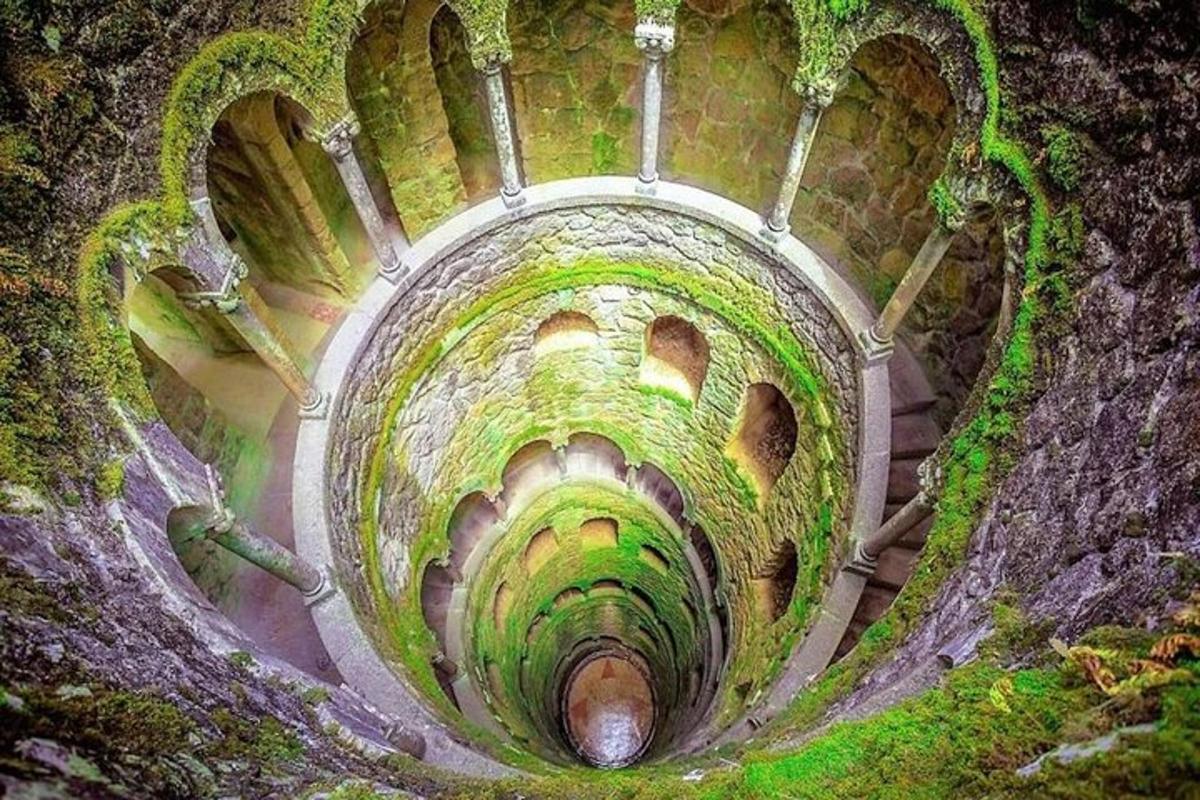 pohled shora na tunel se zeleným mechem