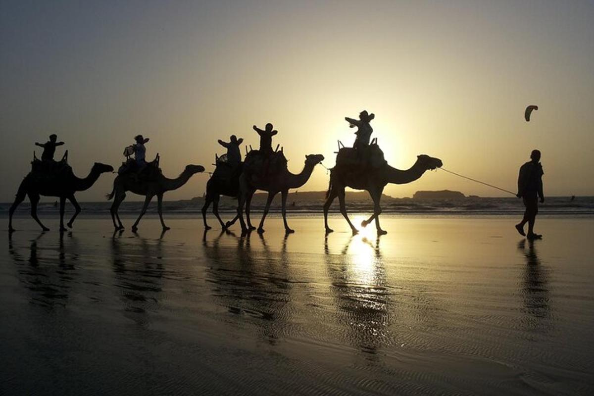 a group of people riding on camels on the beach