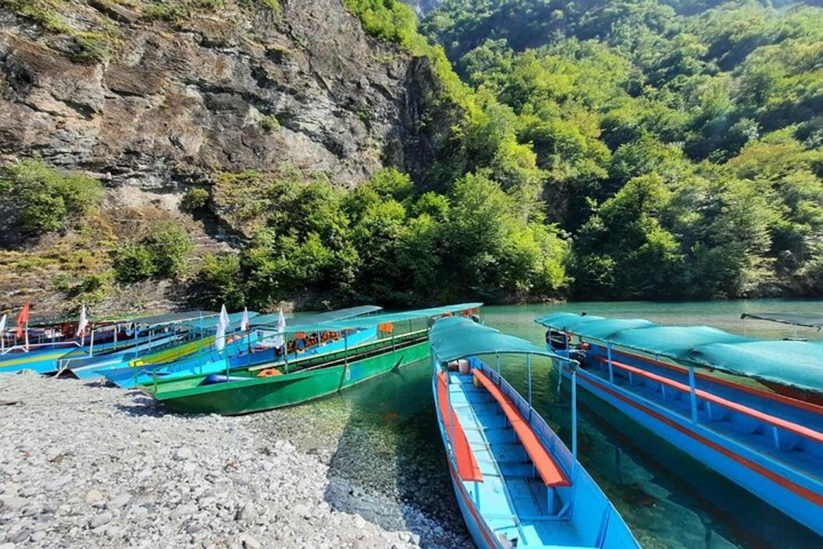 um grupo de barcos estacionados na margem de um rio