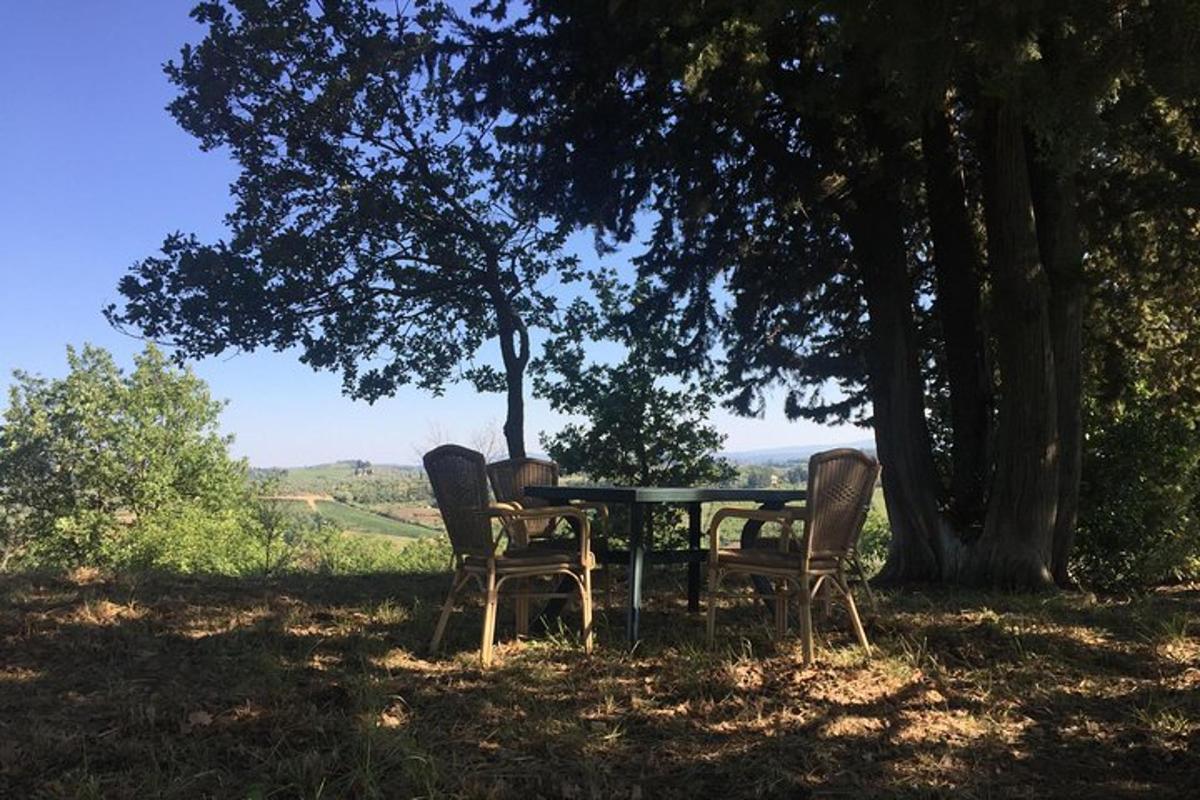 una taula i cadires sota un arbre en un camp