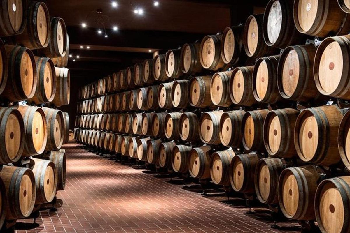 a row of wooden barrels in a wine cellar
