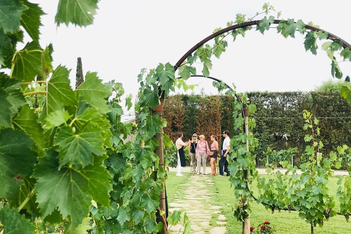 Un grupo de personas de pie bajo un arco en un jardín.