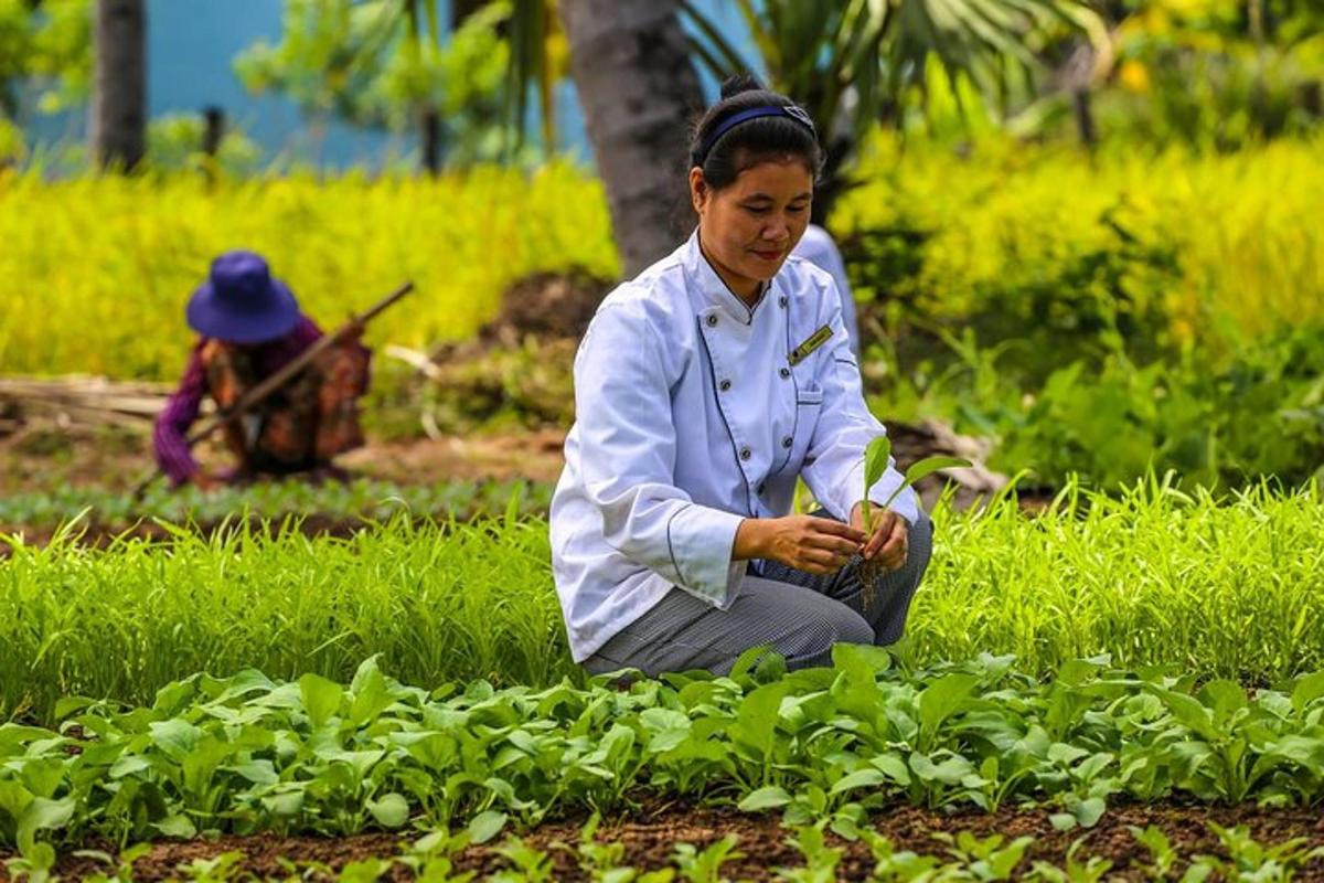 seorang wanita duduk di atas tanah di ladang tumbuhan