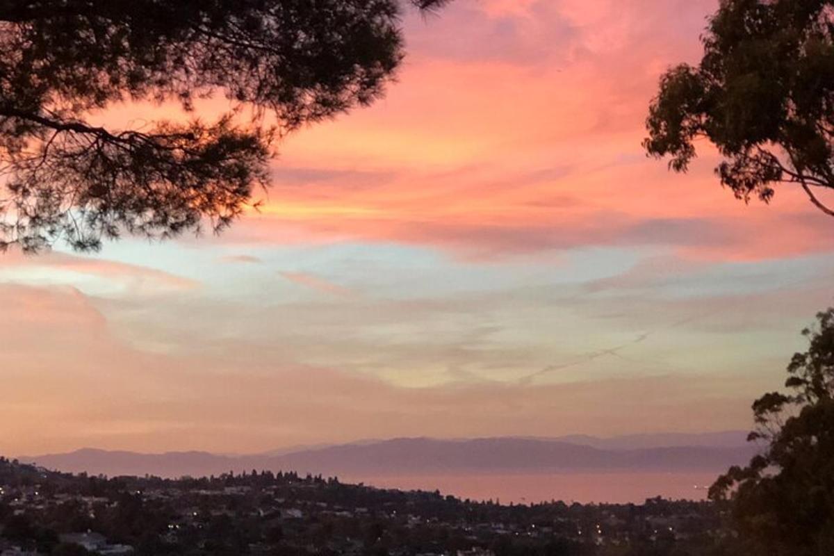 um pôr do sol sobre uma cidade com uma árvore