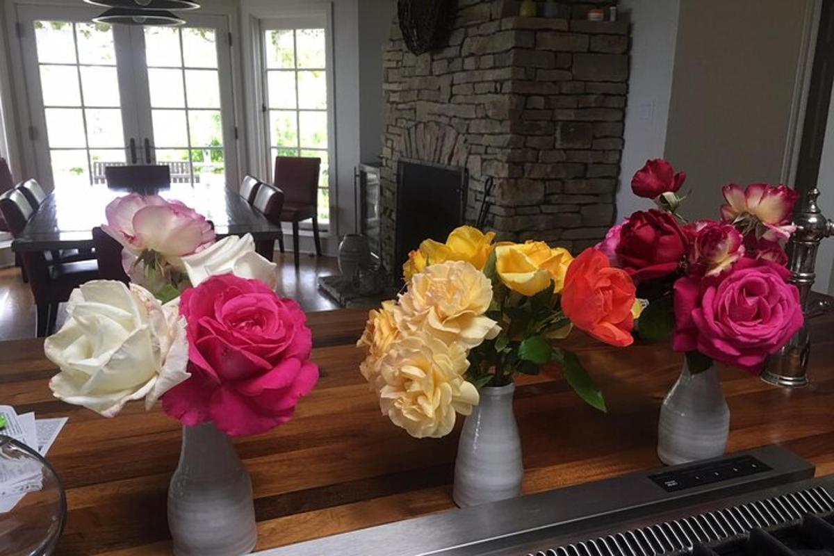 um grupo de vasos cheios de flores coloridas sobre uma mesa
