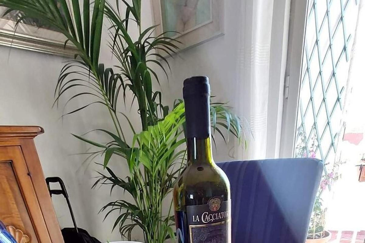 en flaske vin som står ved siden av en plante
