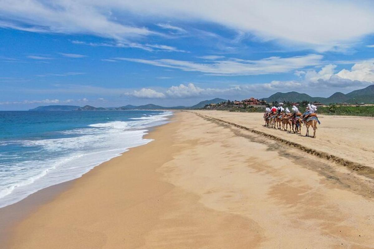 a group of people riding bikes on the beach