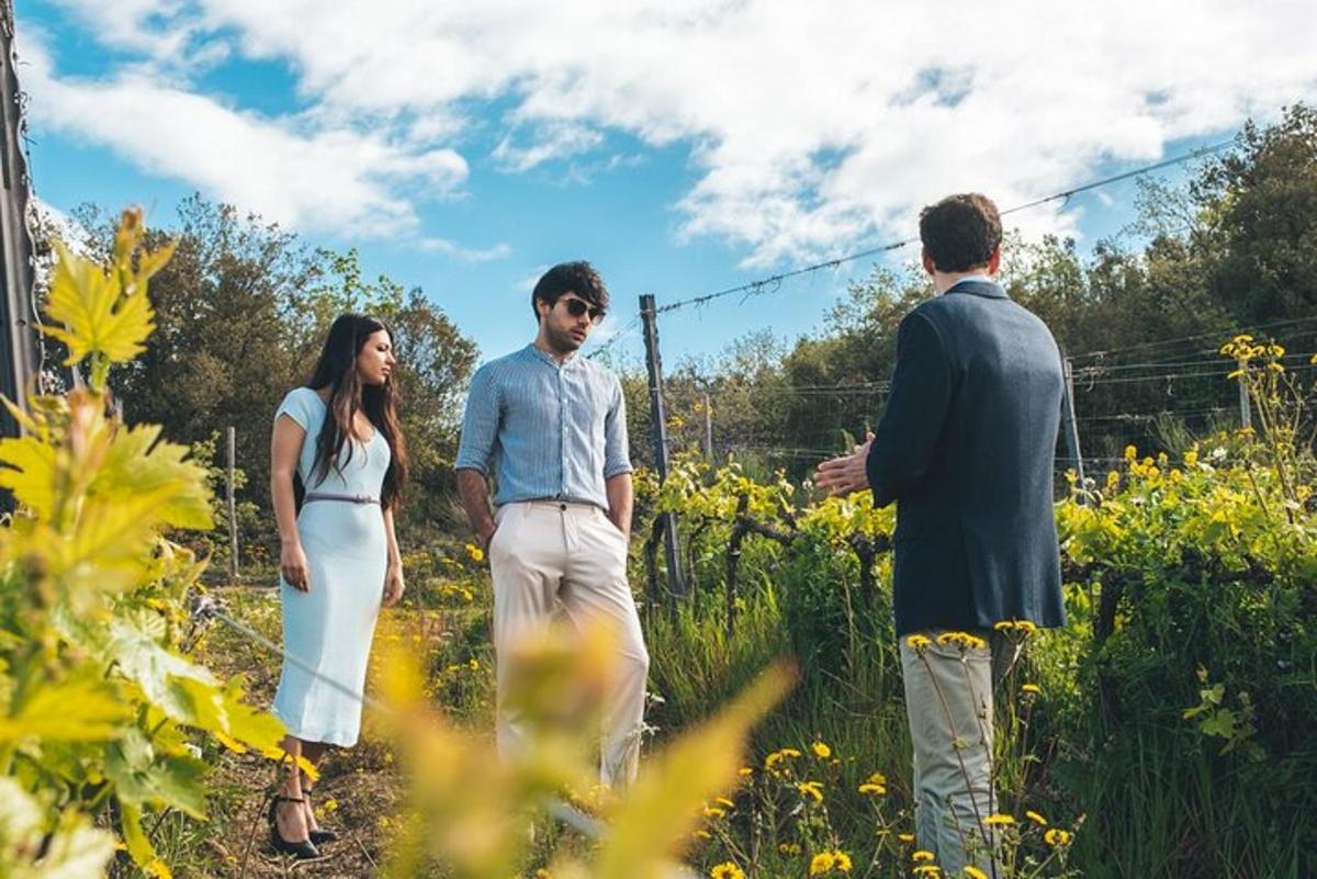 um grupo de três pessoas caminhando por um campo