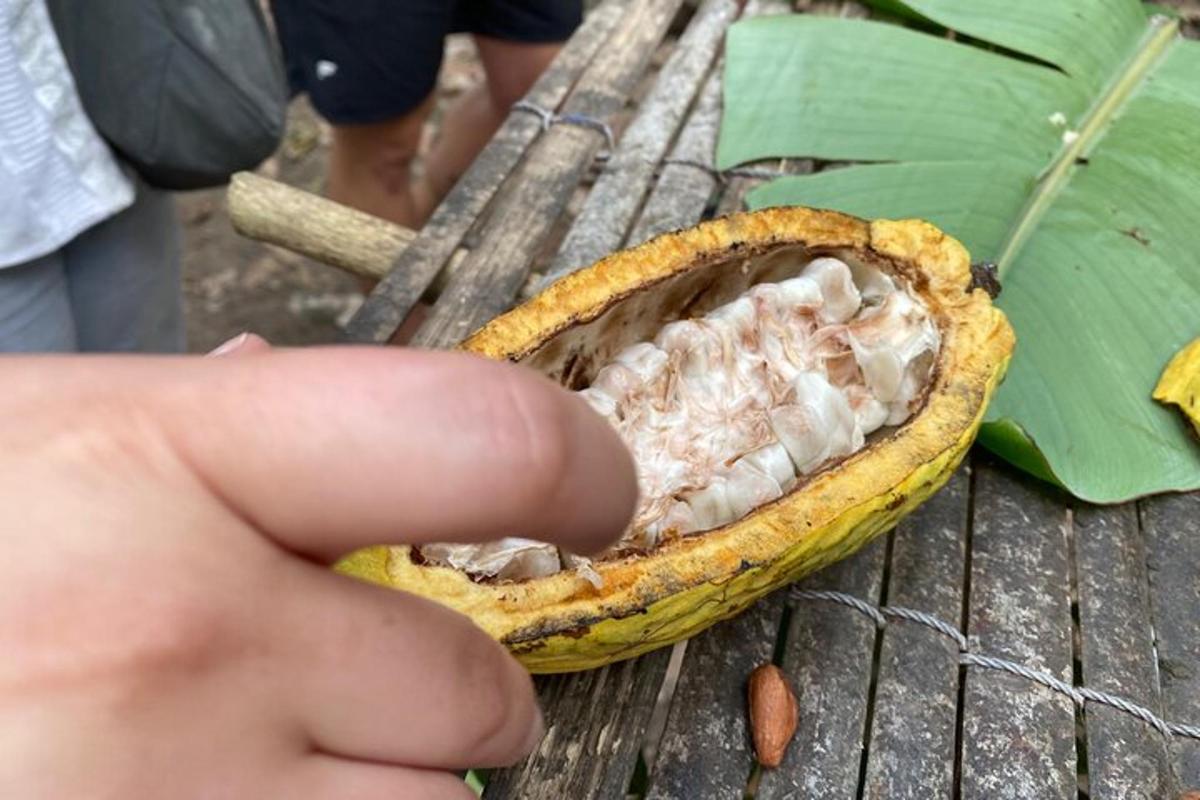 seseorang yang memegang sekeping buah di atas meja kayu
