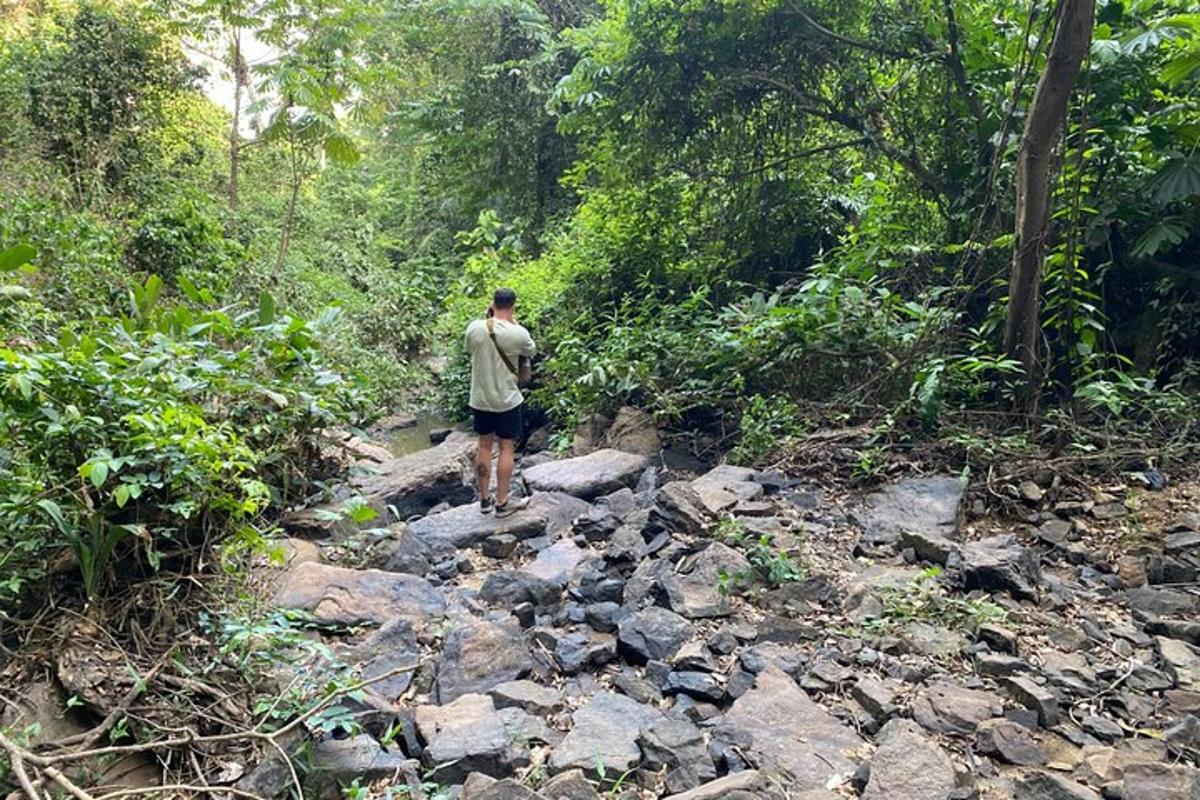 un home dret en un camí rocós en un bosc