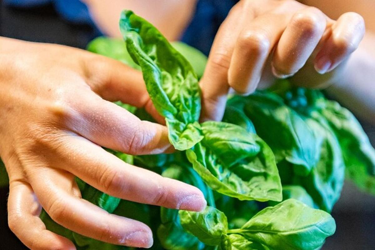 a person holding a bunch of green spinach