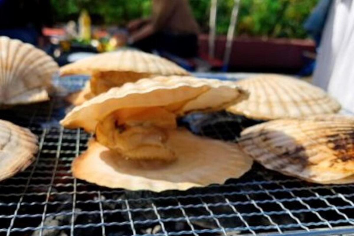 grupa ostryg siedząca na grillu