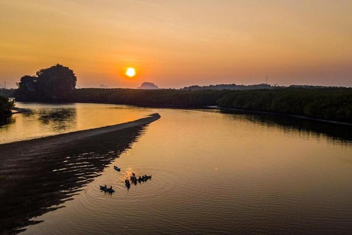 a group of ducks in a river at sunset