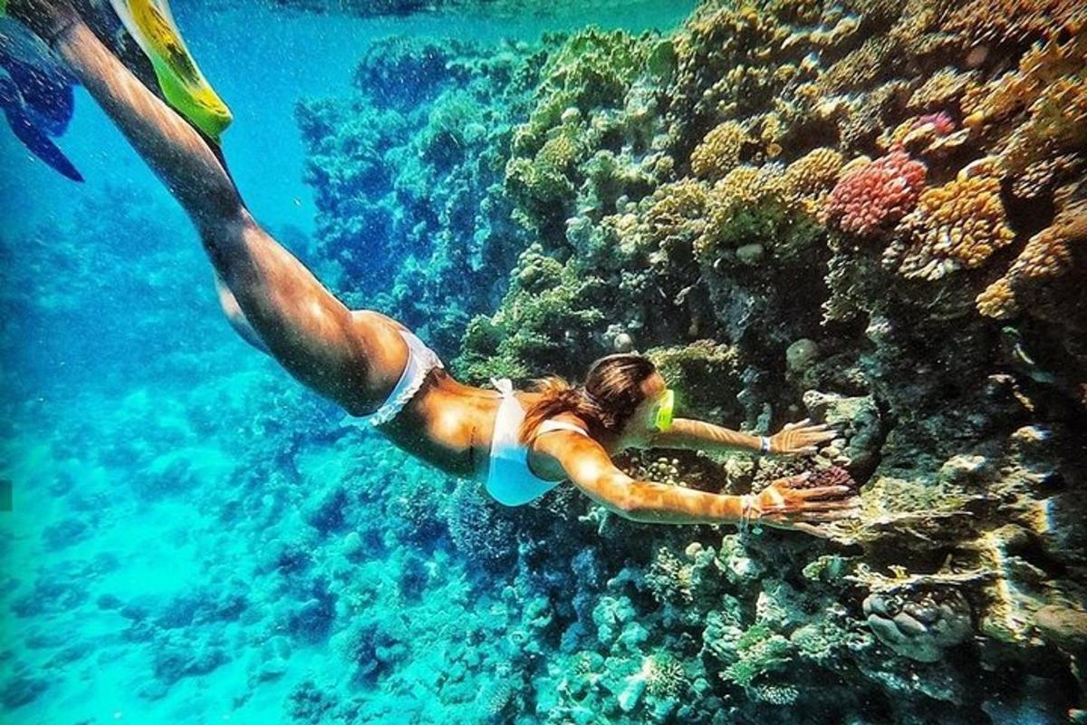 seorang wanita berenang di air dekat terumbu karang