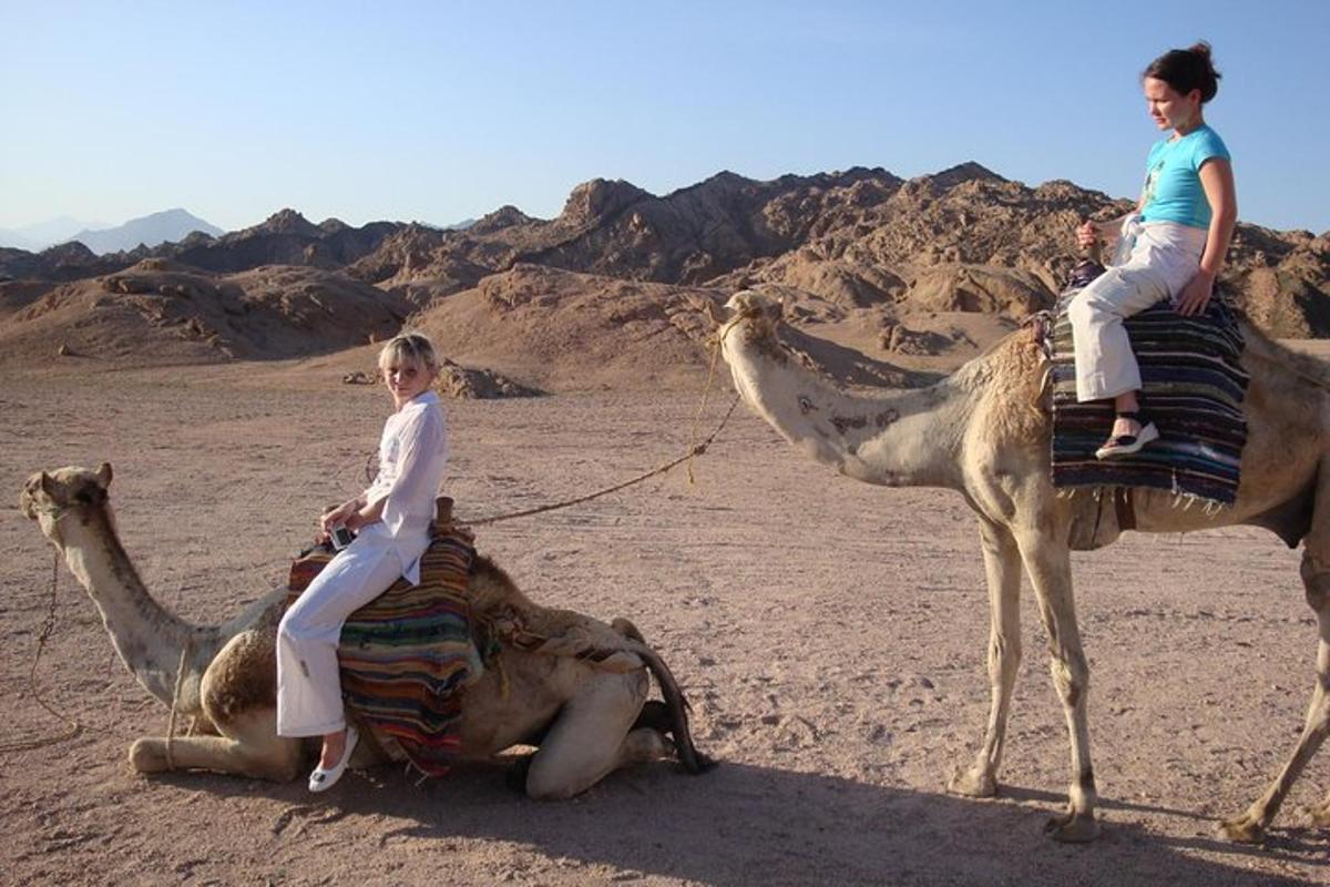 due donne a cavallo dei cammelli nel deserto