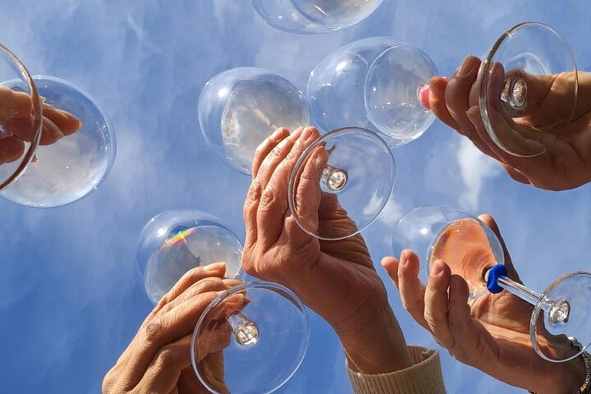 quattro persone che tengono in alto bicchieri di vino nel cielo
