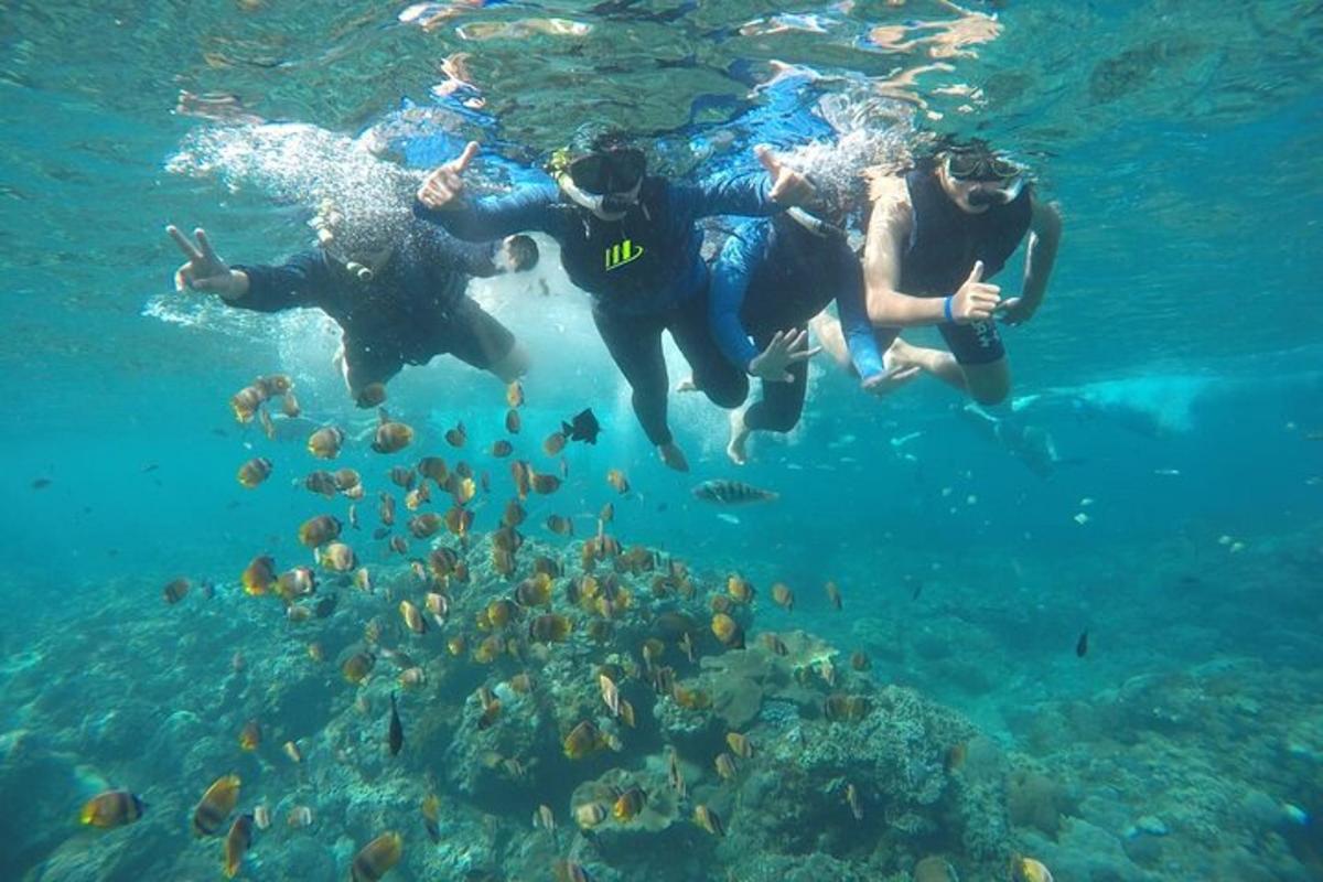un gruppo di persone che nuotano nell'acqua con i pesci