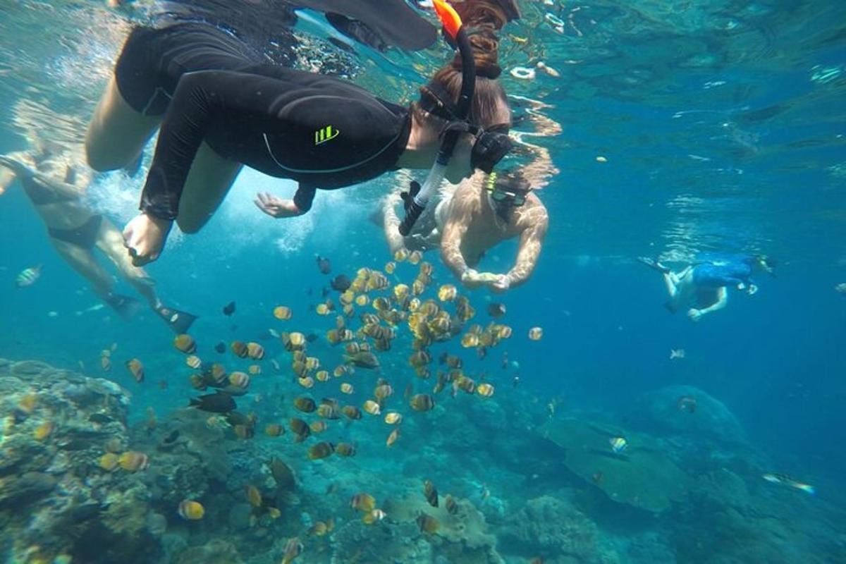 due persone stanno nuotando nell'acqua con i pesci