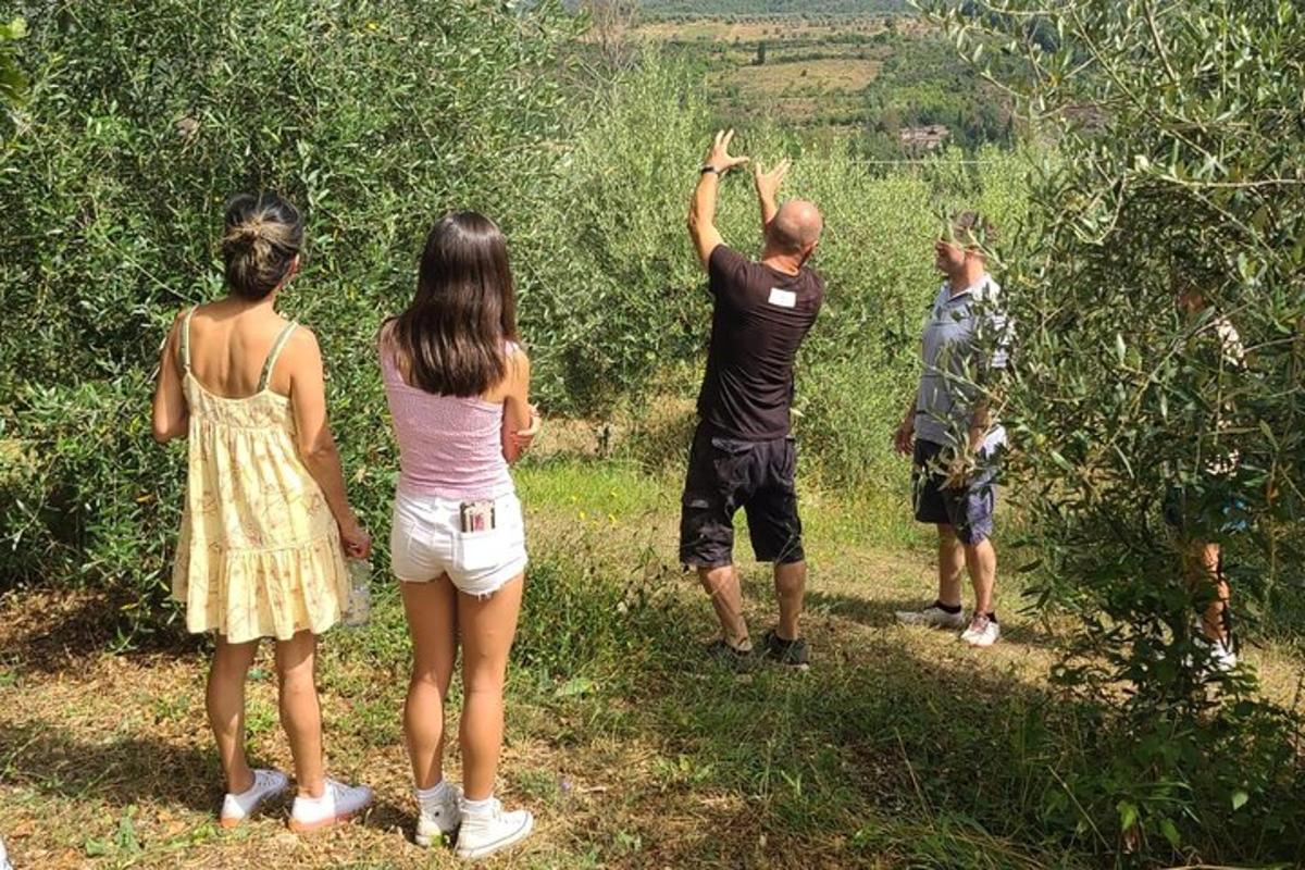 skupina lidí stojících na jabloni