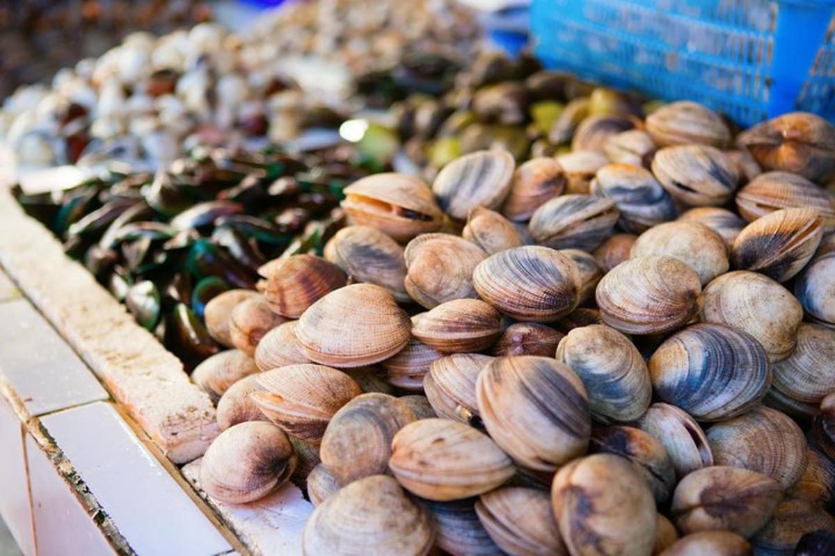 longgokan kerang duduk di atas meja