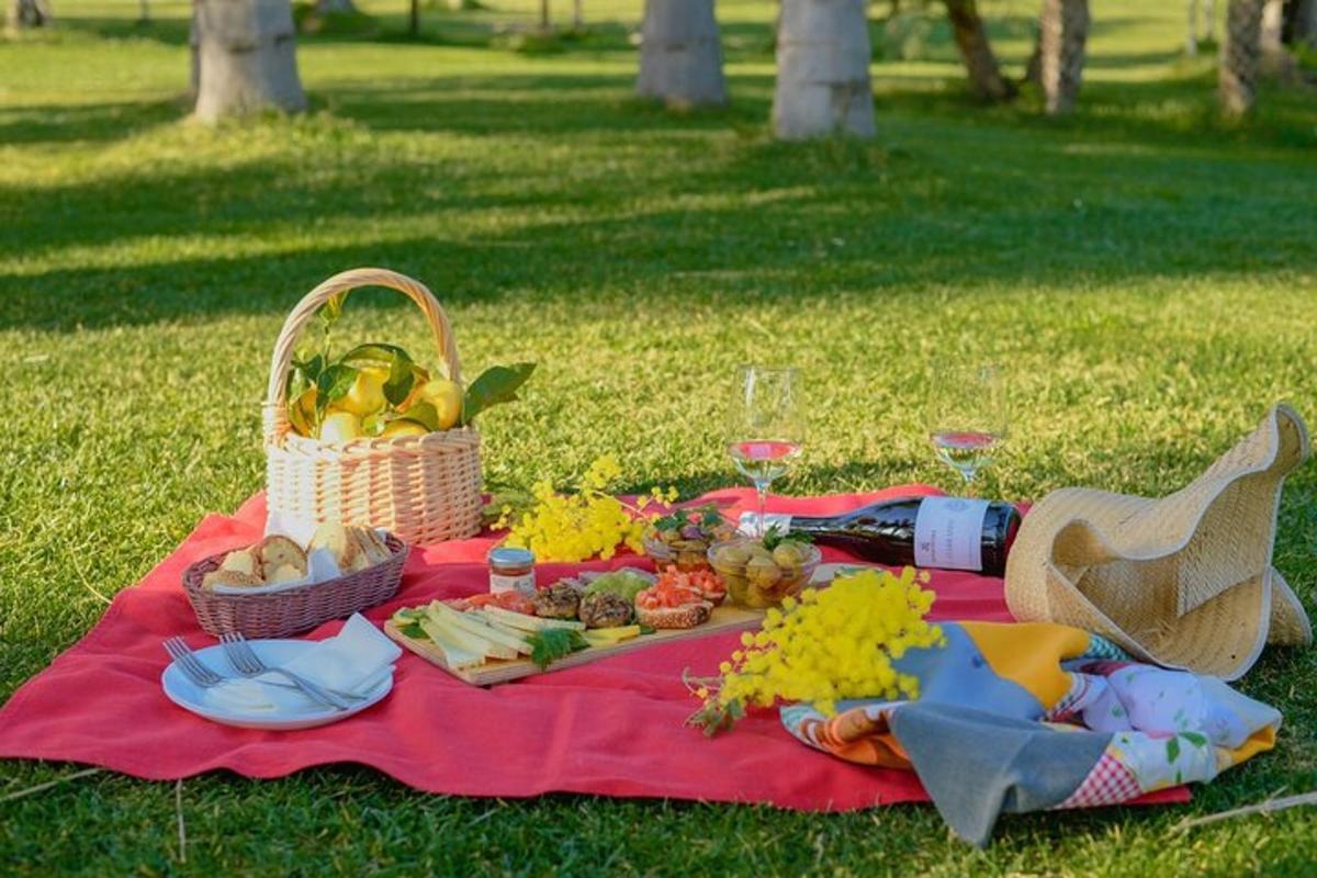 piknikovou deku s košíkem jídla a košíkem ovoce