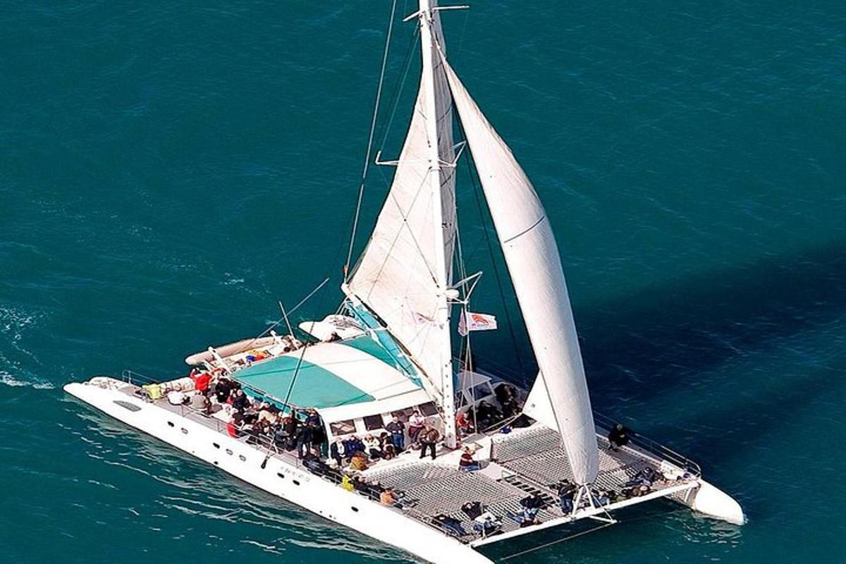 Un grupo de personas en un velero en el agua.