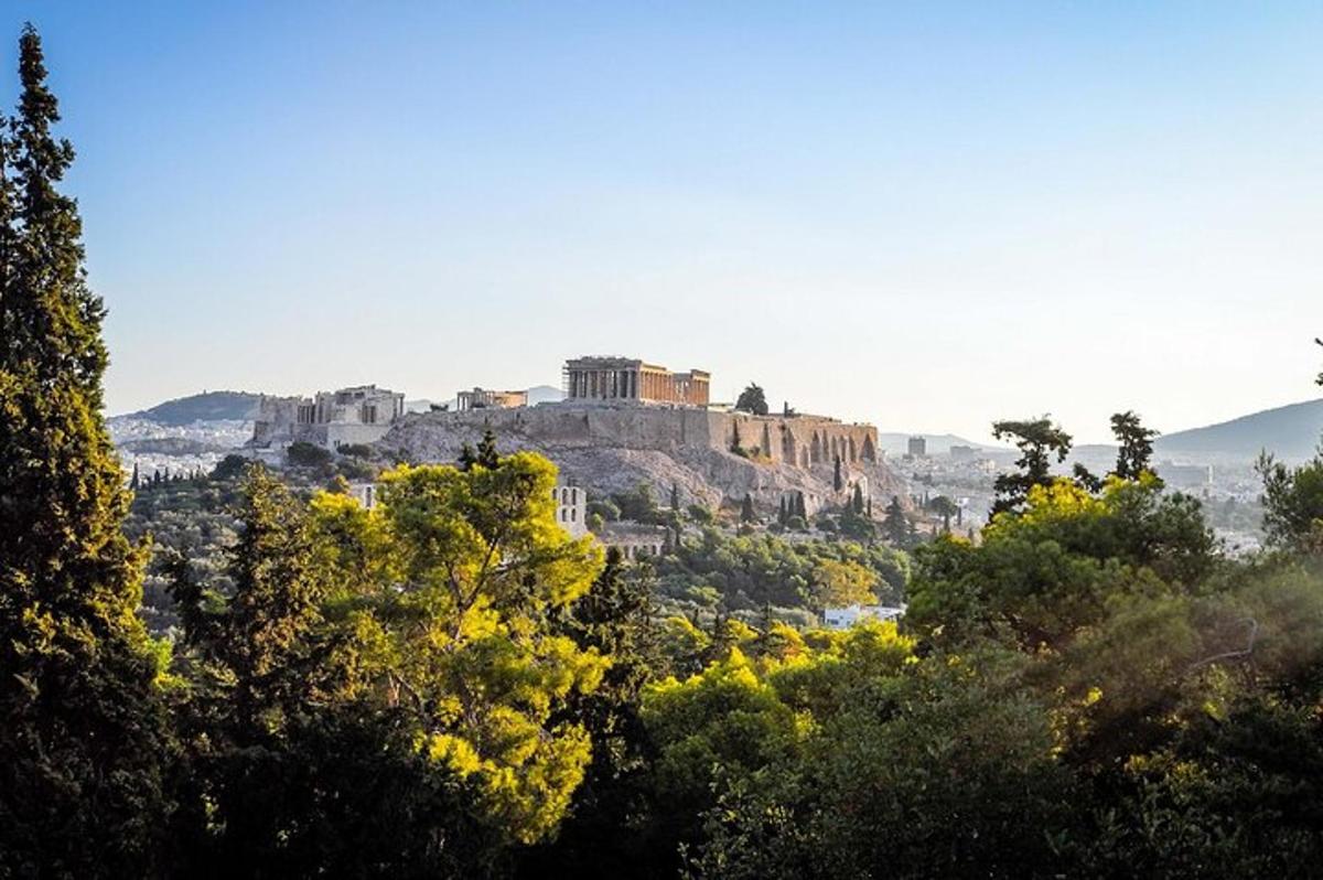 un castell al cim d'un turó amb arbres